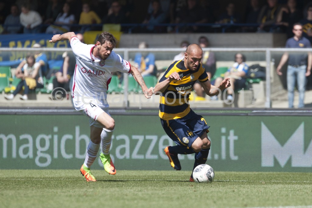 luppi (3)