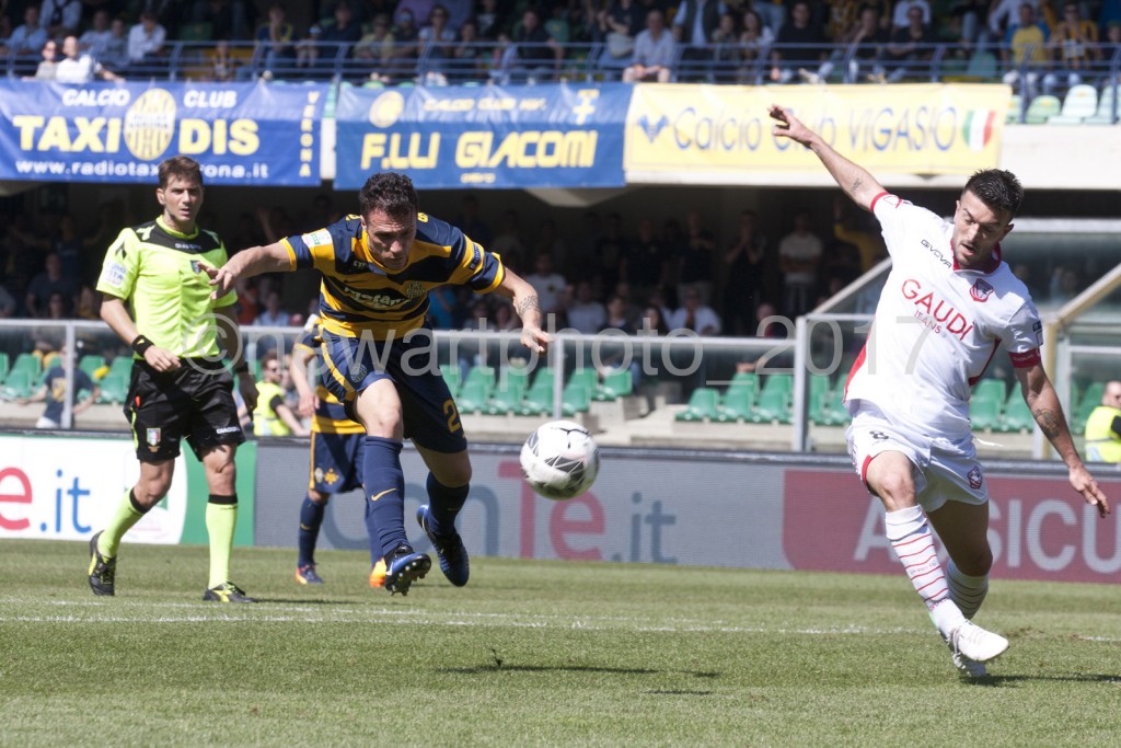 siligardi (2)