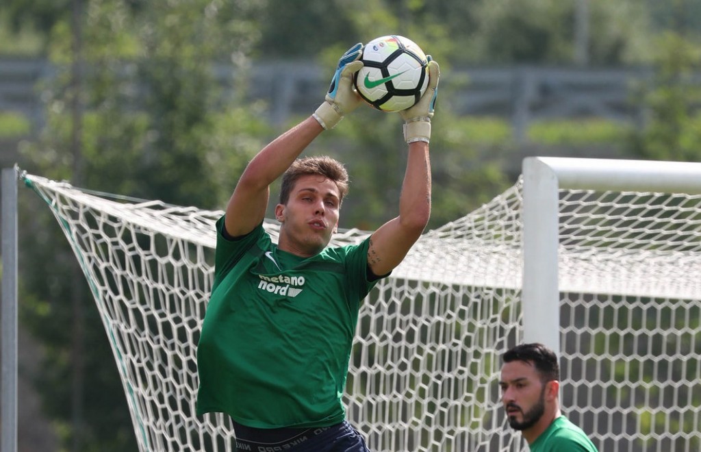 silvestri