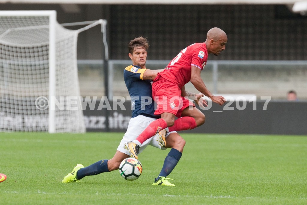 bruno zuculini