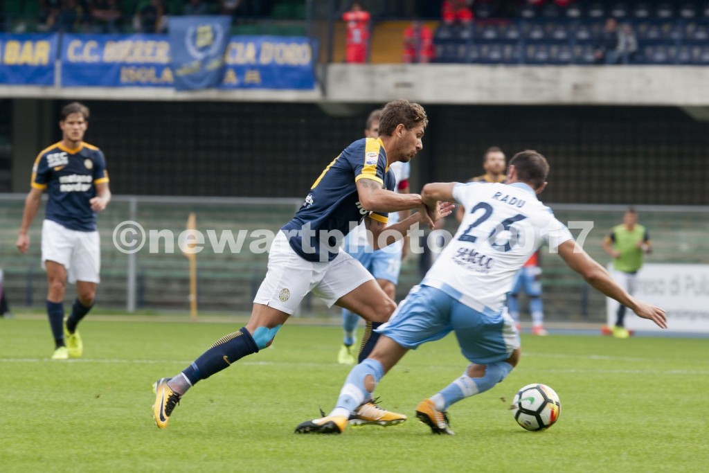 cerci
