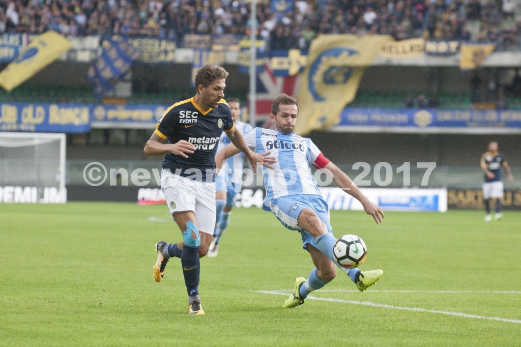 cerci