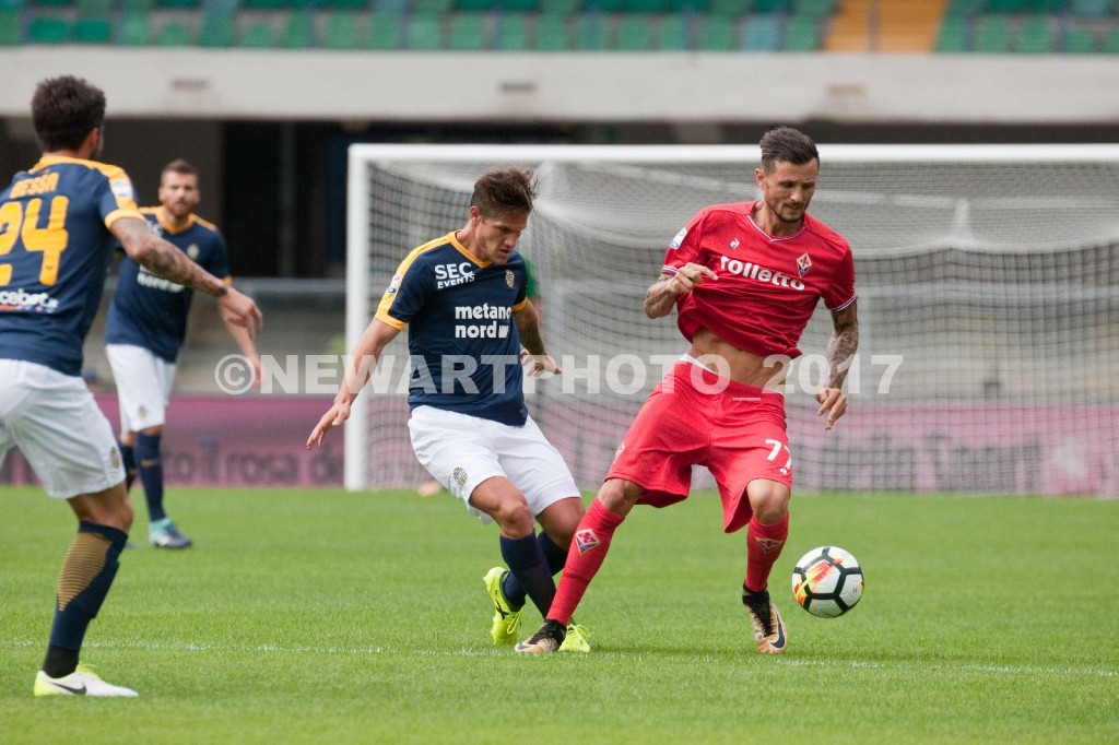bruno zuculini