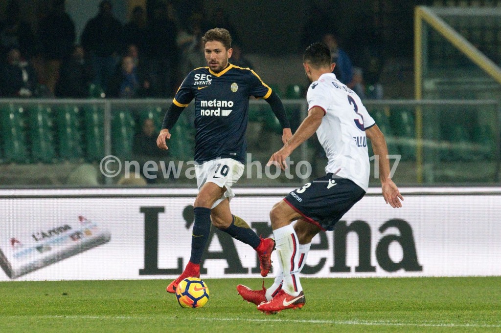 cerci