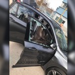 auto_setti_avellino_verona