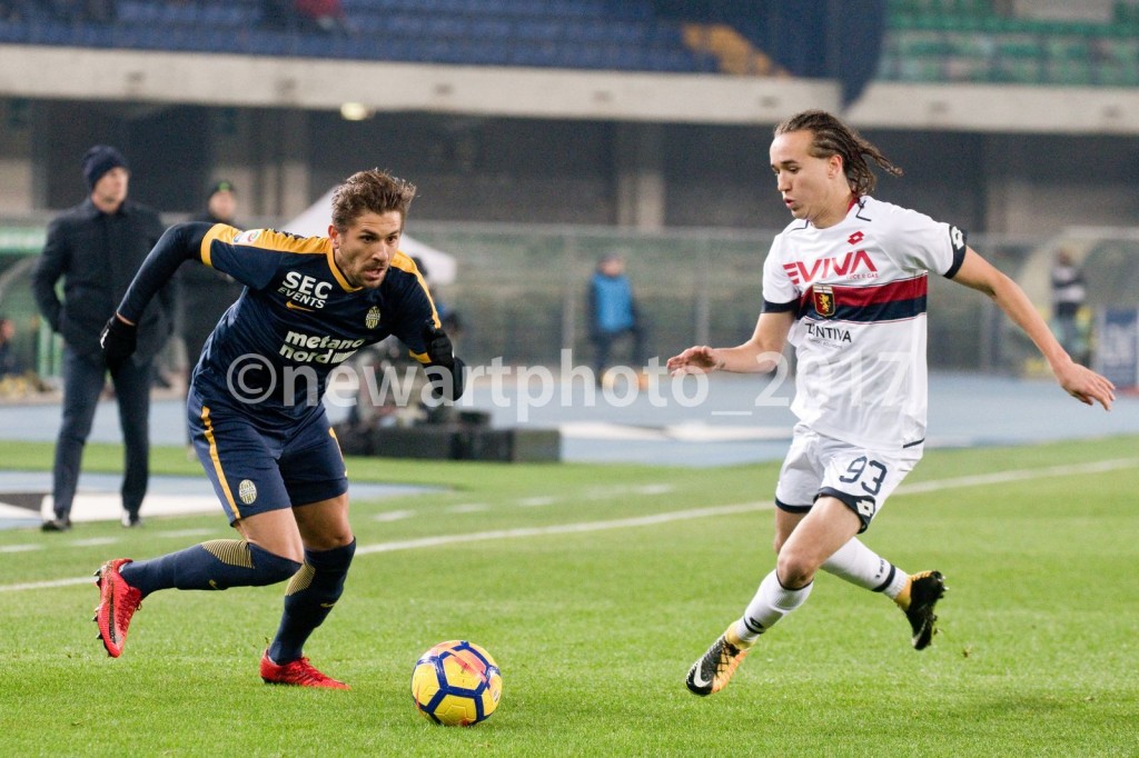 Cerci