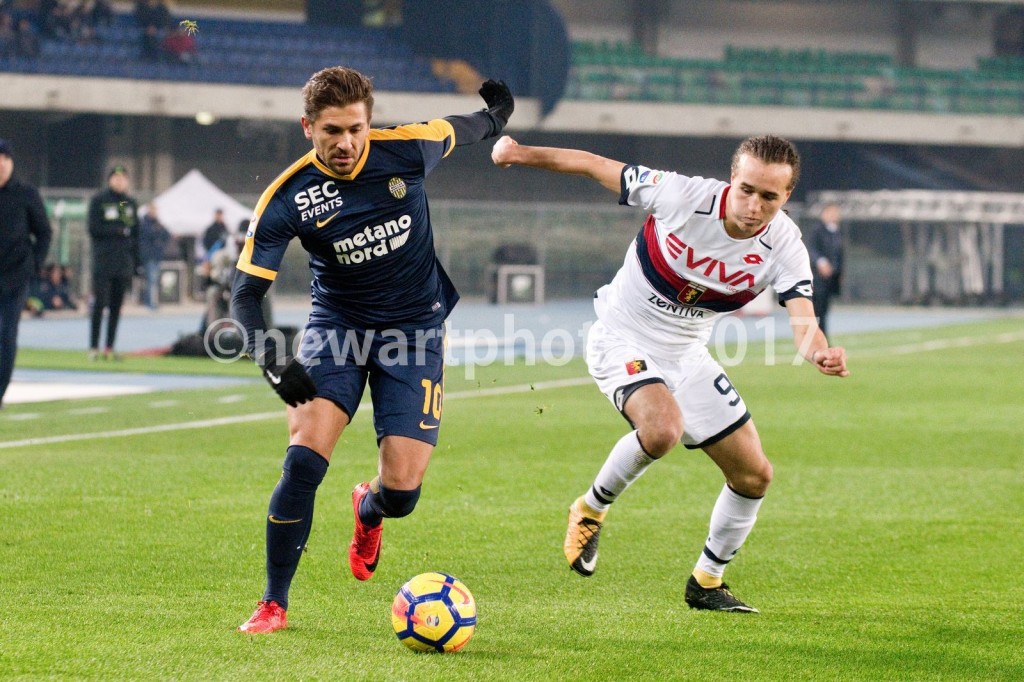 Cerci