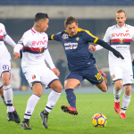 cerci