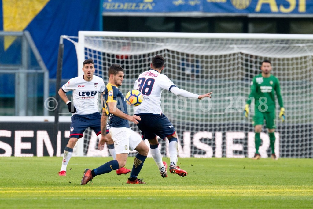 zuculini (2)