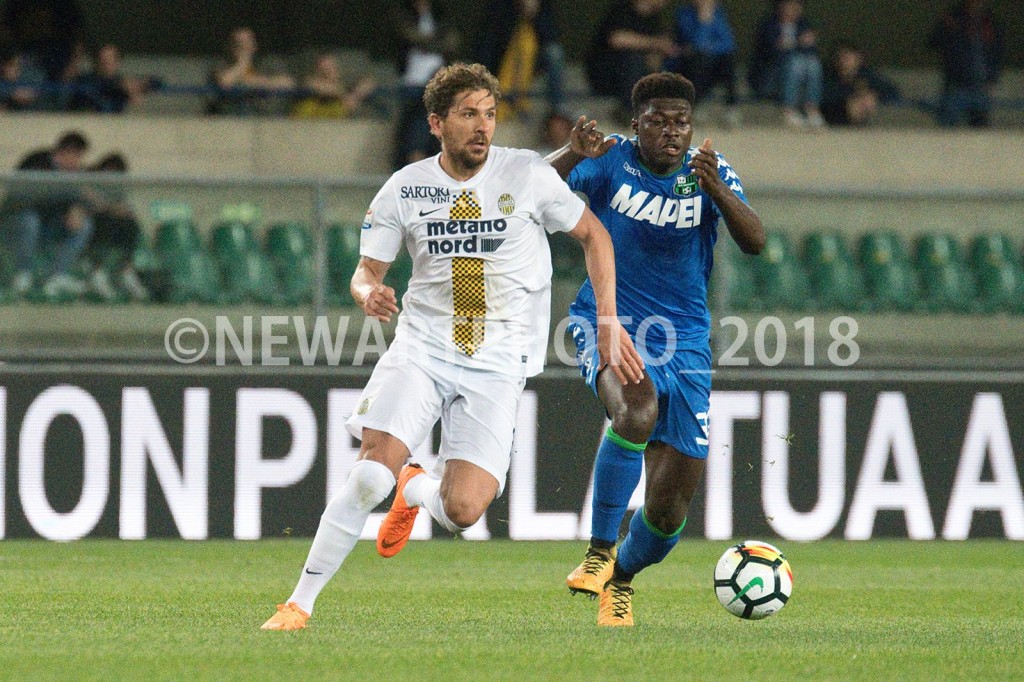 cerci