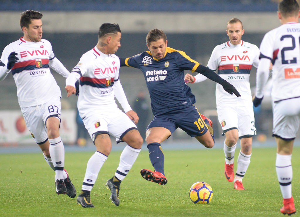 cerci
