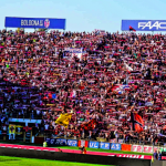 bologna