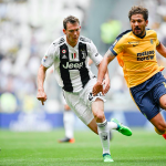 cerci