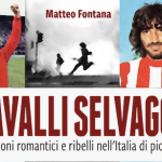cavalli selvaggi