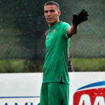 silvestri