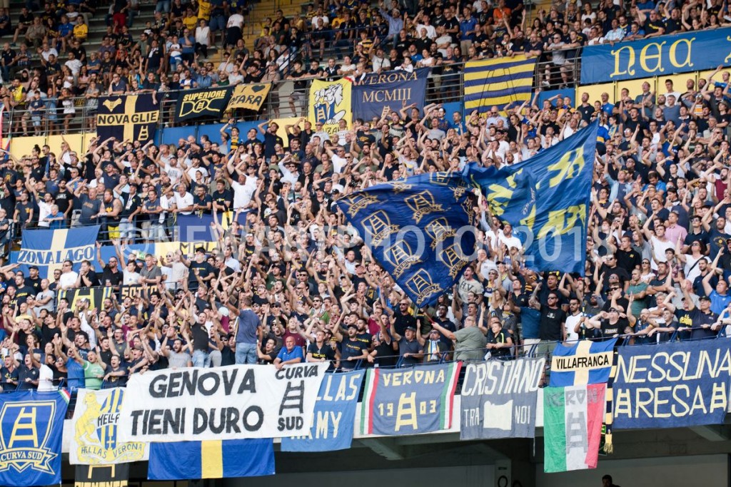 curva (2)