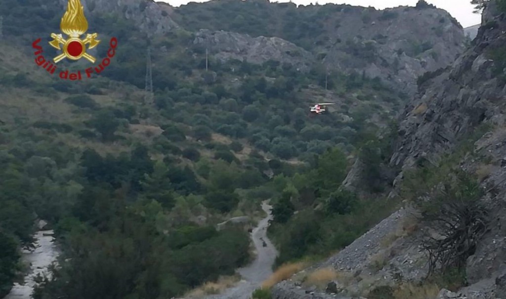 pollino_vdf-1132x670
