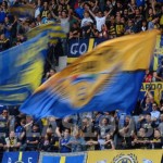 curva 2012 impression (5)
