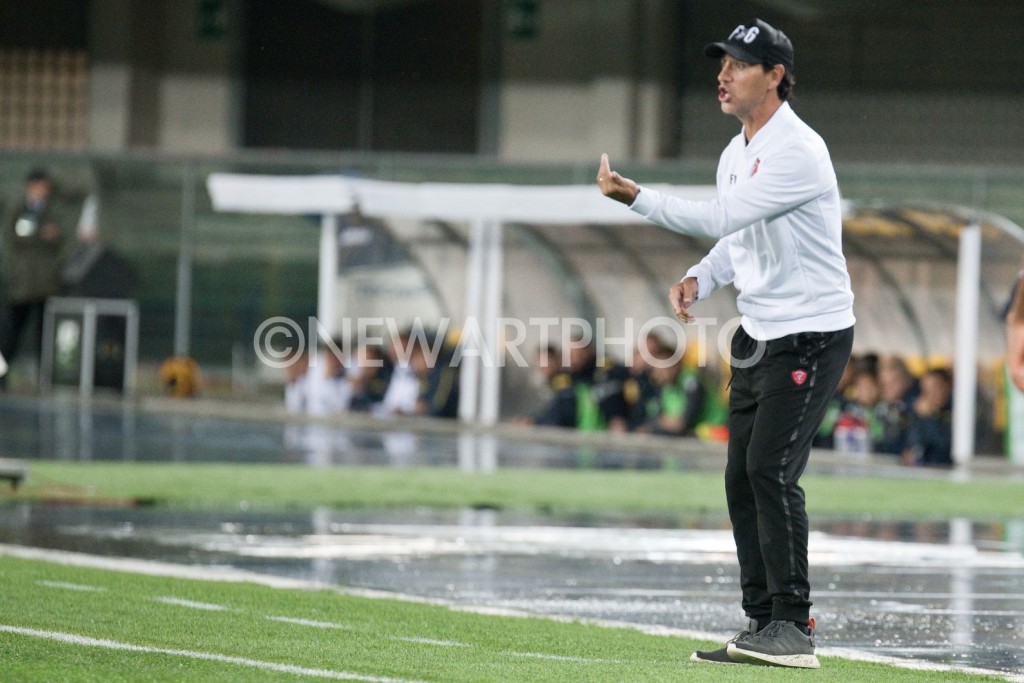 nesta (2)