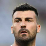 bovo