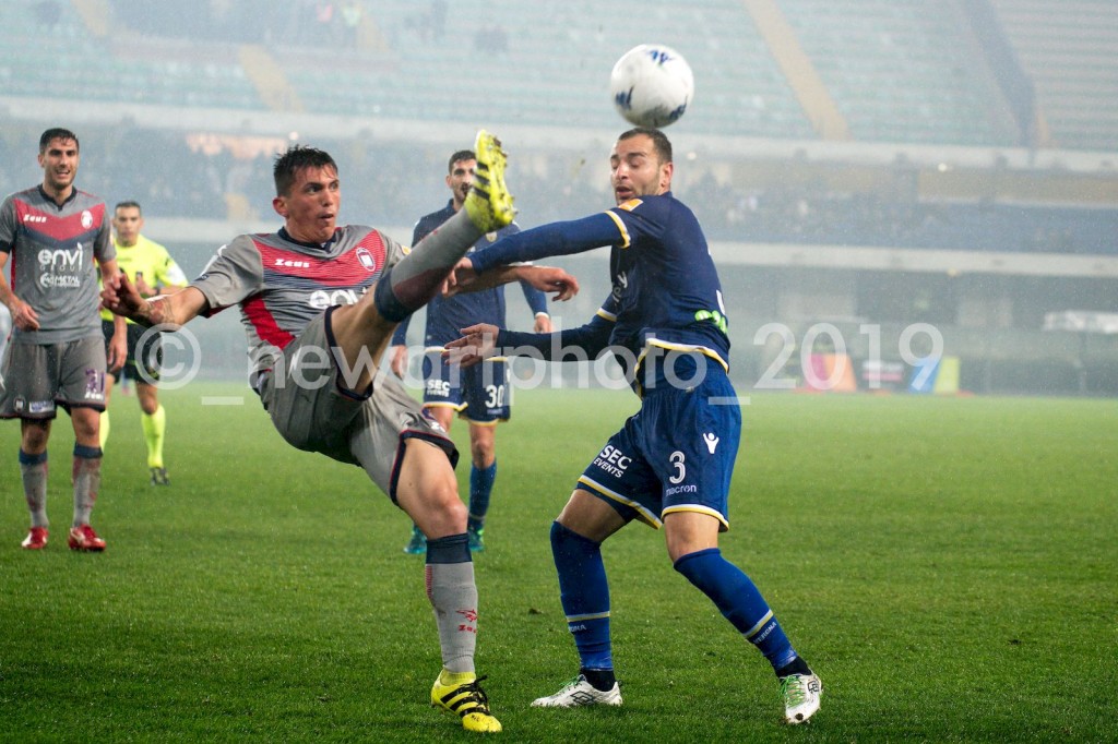 VITALE (4)