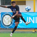 salcedo