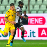 stepinski gervinho