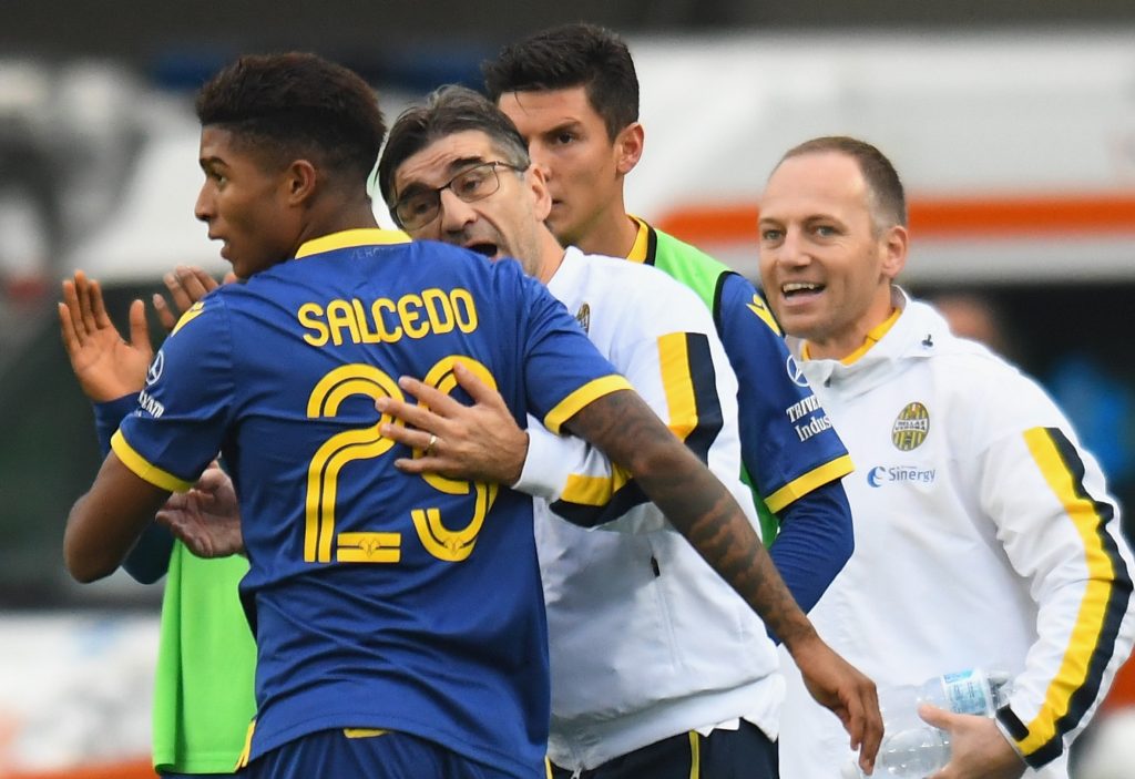 salcedo