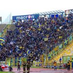 Tifosi HV