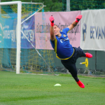 silvestri