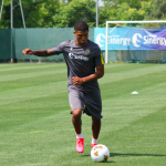 salcedo