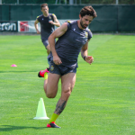 borini