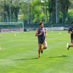 borini zaccagni