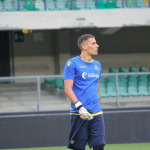 silvestri
