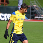 silvestri