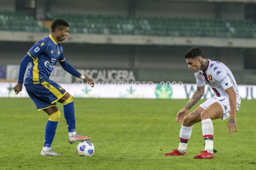 salcedo