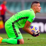 silvestri