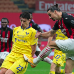 magnani ibrahimovic