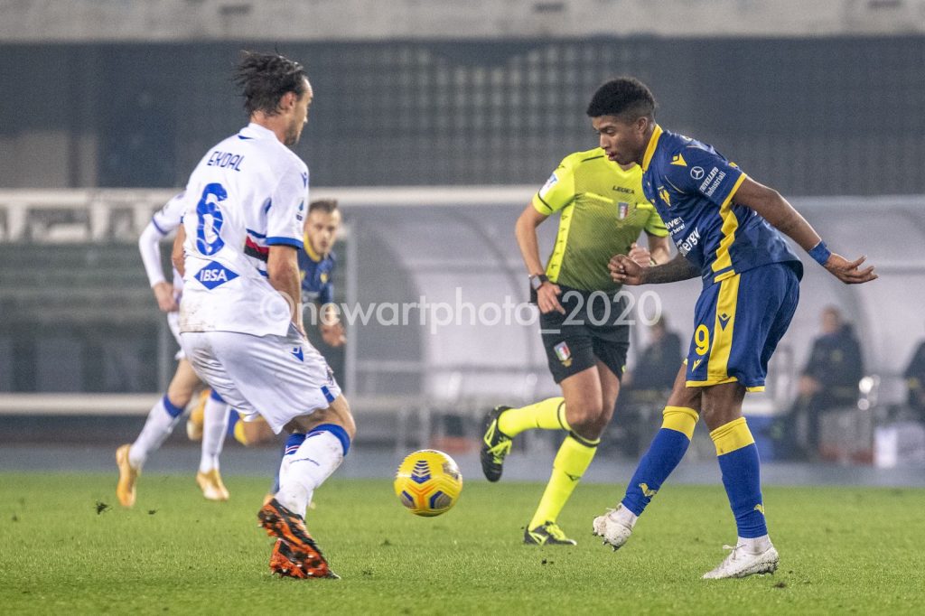 salcedo