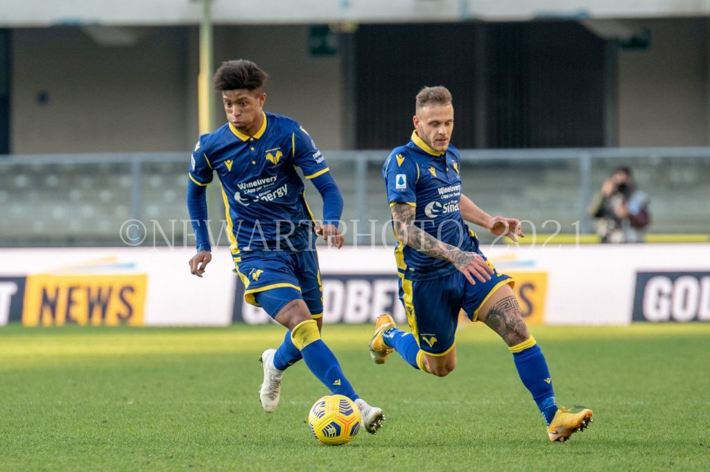 salcedo dimarco