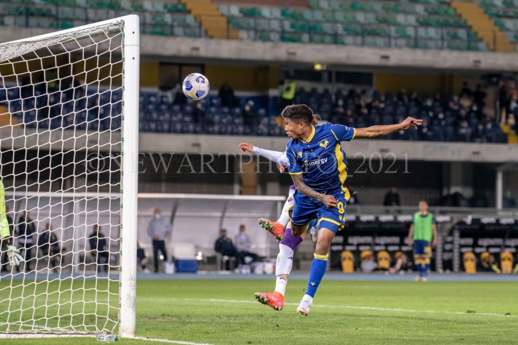 salcedo