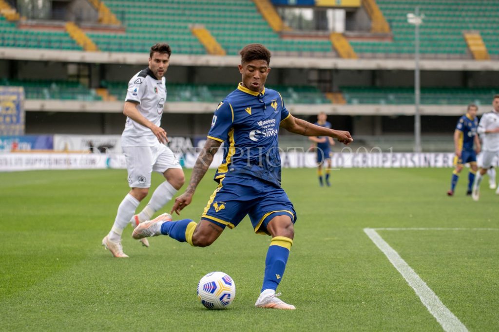 salcedo