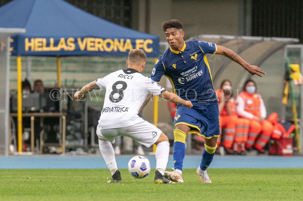 salcedo
