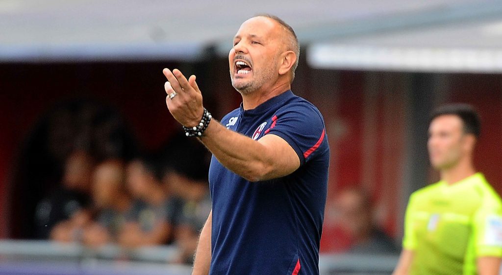 mihajlovic