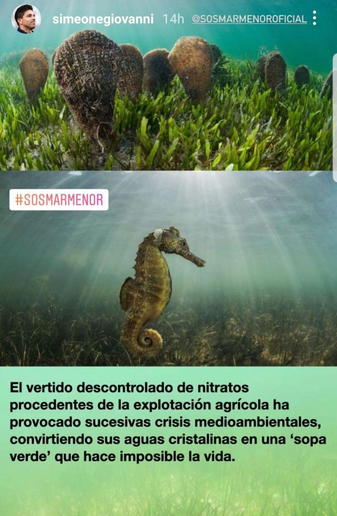 Storia IG Simeone