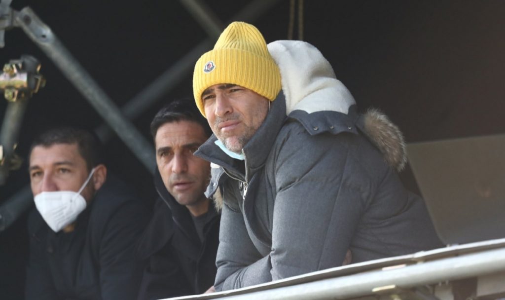 D'Amico Tudor