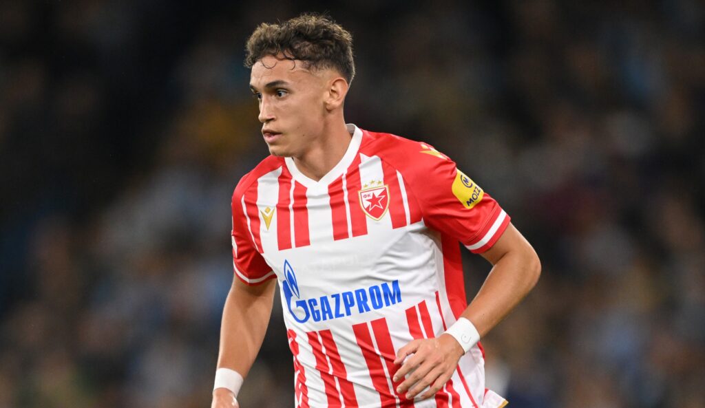 mitrovic stefan